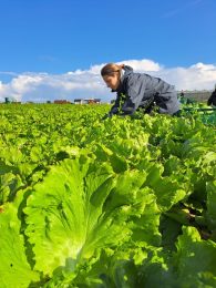 580 hectares of owned farmland